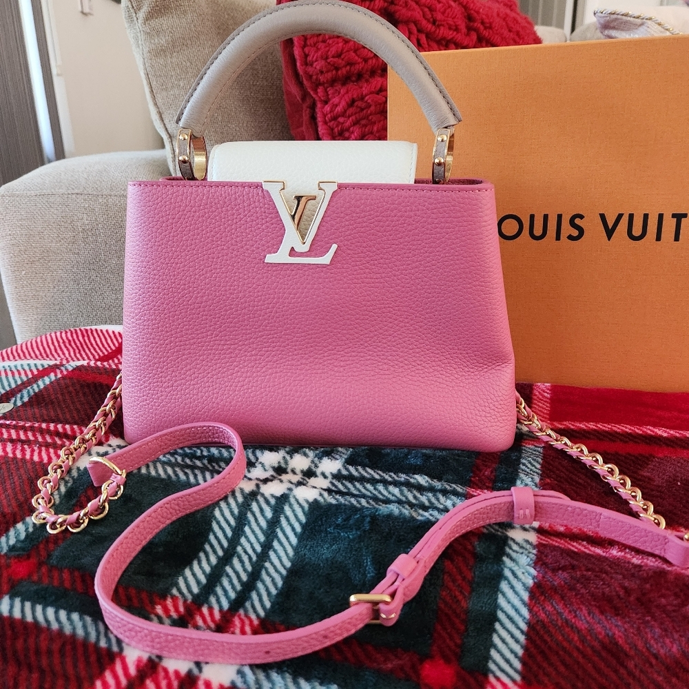 Louis Vuitton Cupuci BB